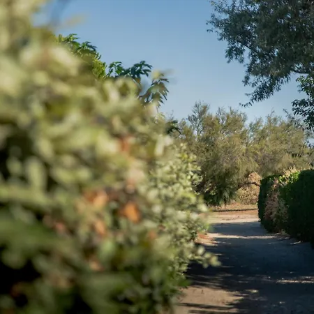 Le Mas Aux Amoureux , Suite Romantique Et Spa Le Barcarès Extérieur photo